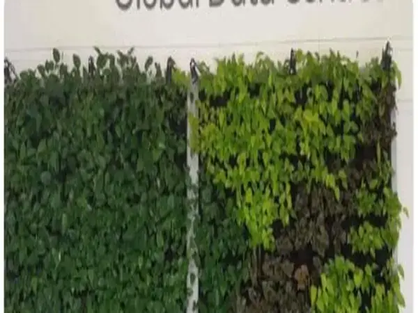 Terrace Garden Design and Bio Walls Bangalore